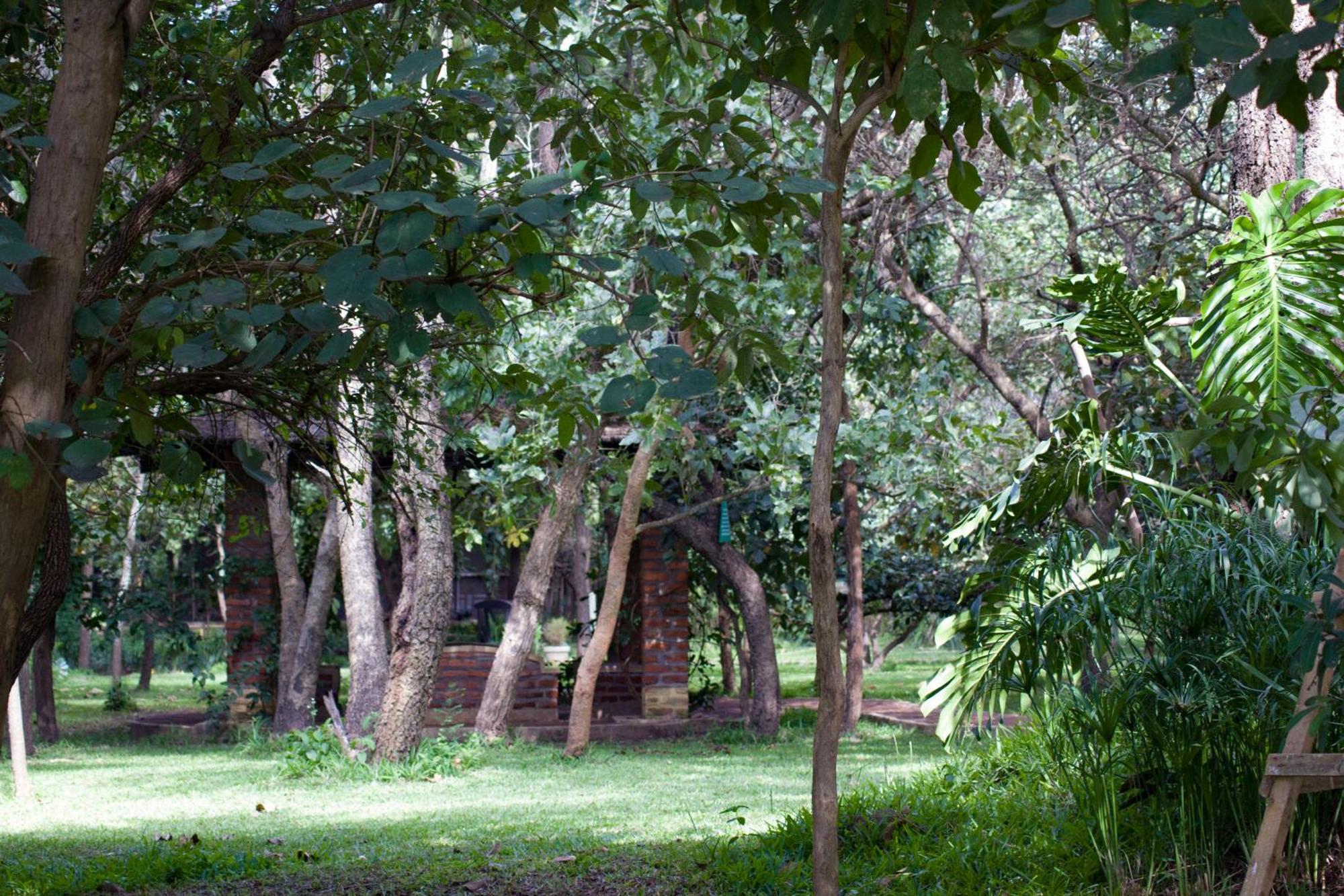 Eden Estates & Resort ليلونغوي المظهر الخارجي الصورة